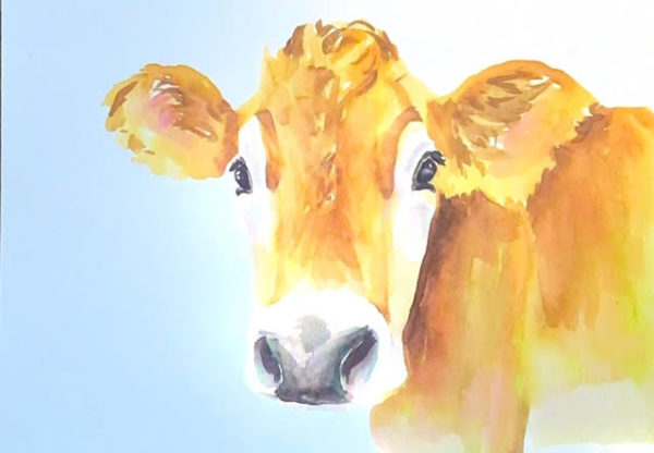Watercolor Painting - August 10 "Sweet Cow"